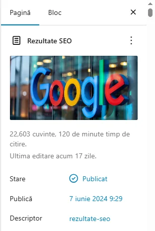 Rezultate SEO - Audit SEO